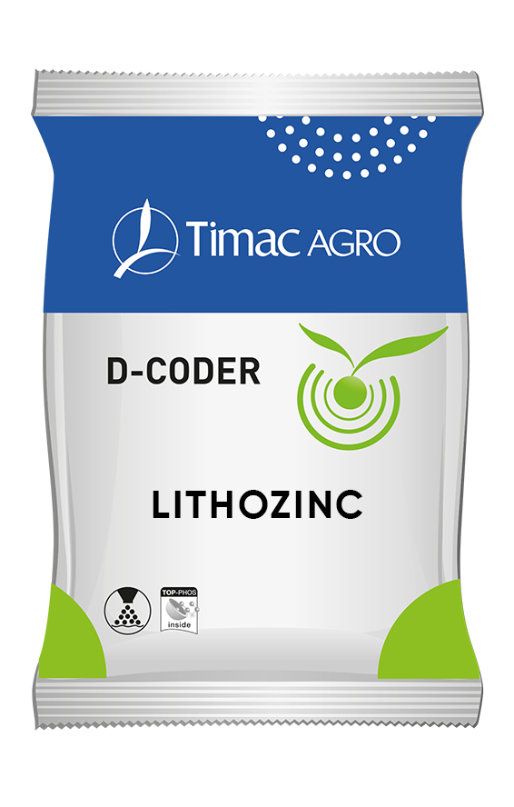 LITHOZINC