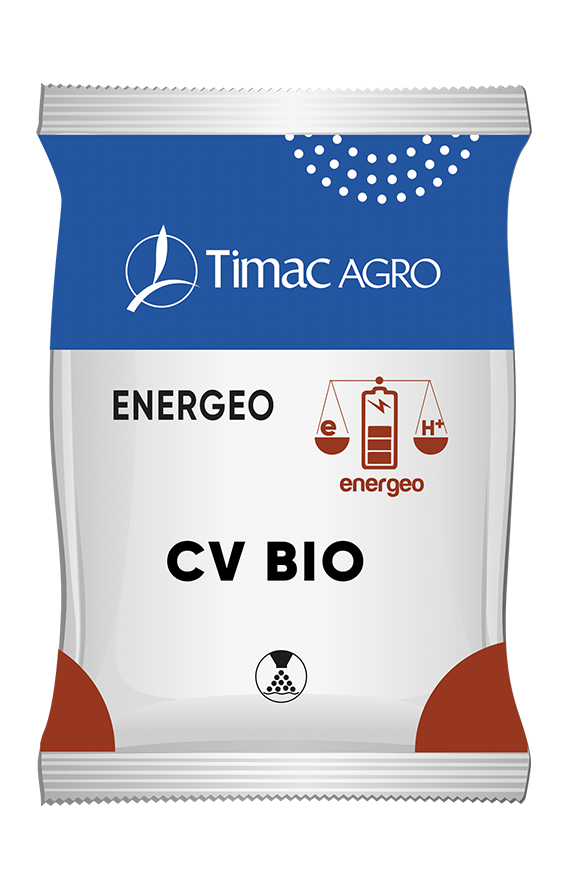 ENERGEO CV BIO
