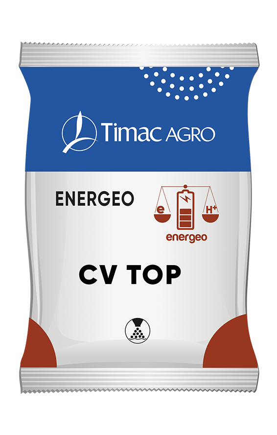 ENERGEO CV TOP