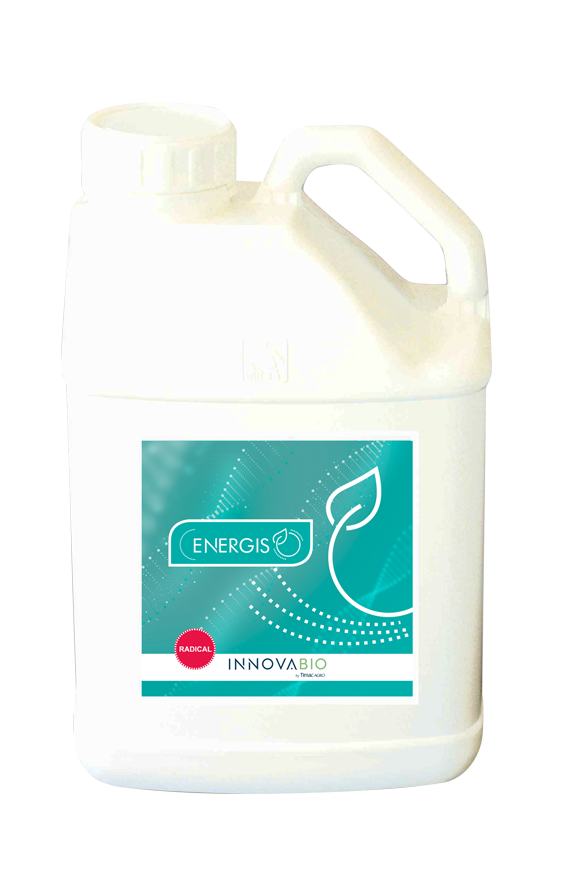 ENERGIS Radical