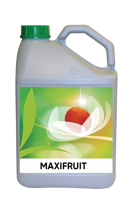 MAXIFRUIT