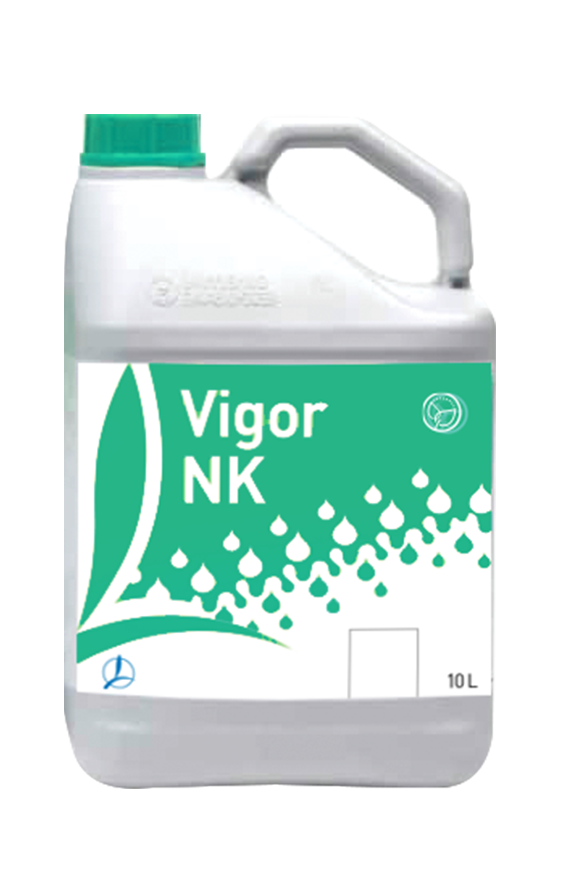 VIGOR NK
