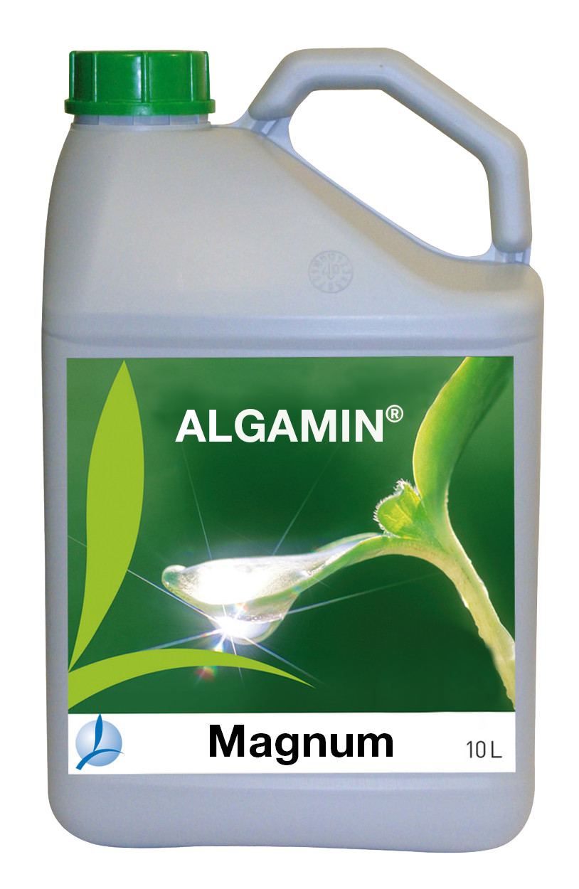 ALGAMIN MAGNUM