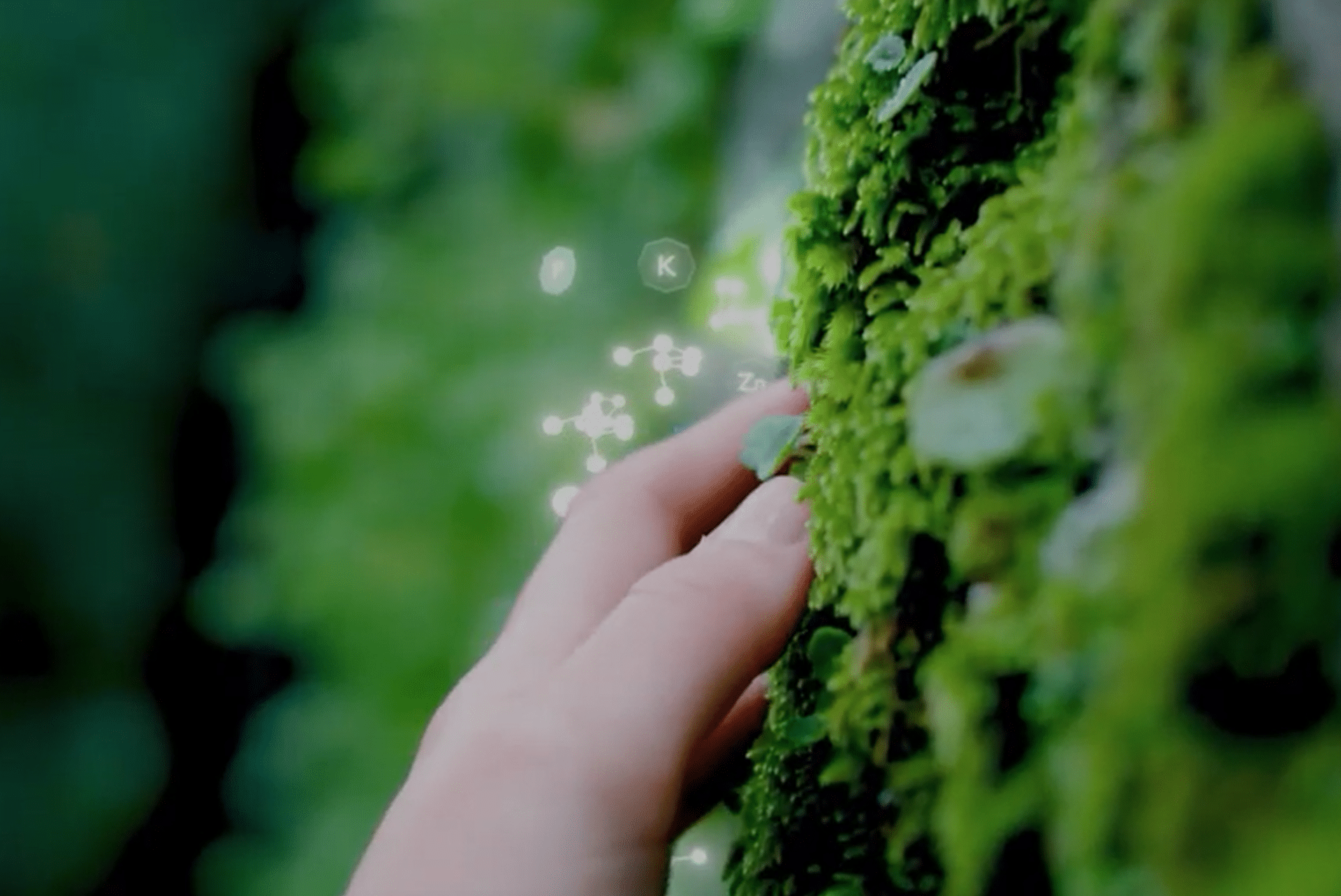 brand video timacagro 2025