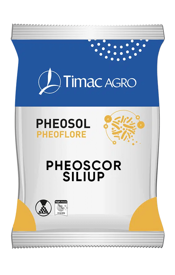 PHEOSCOR SILIUP