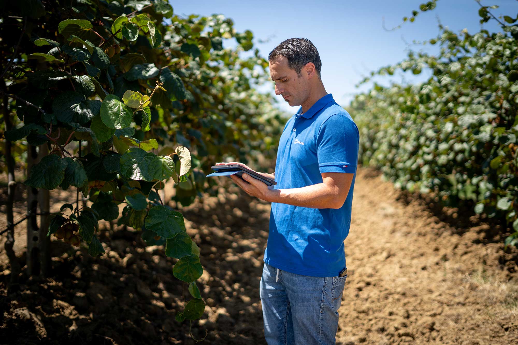 atc campo mais timacagroitalia