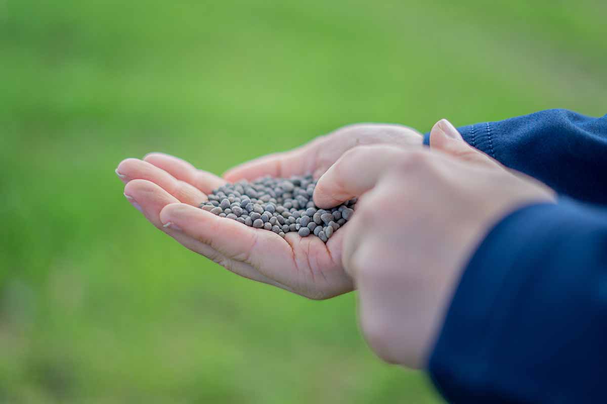 fertilizzanti granulari timacagro