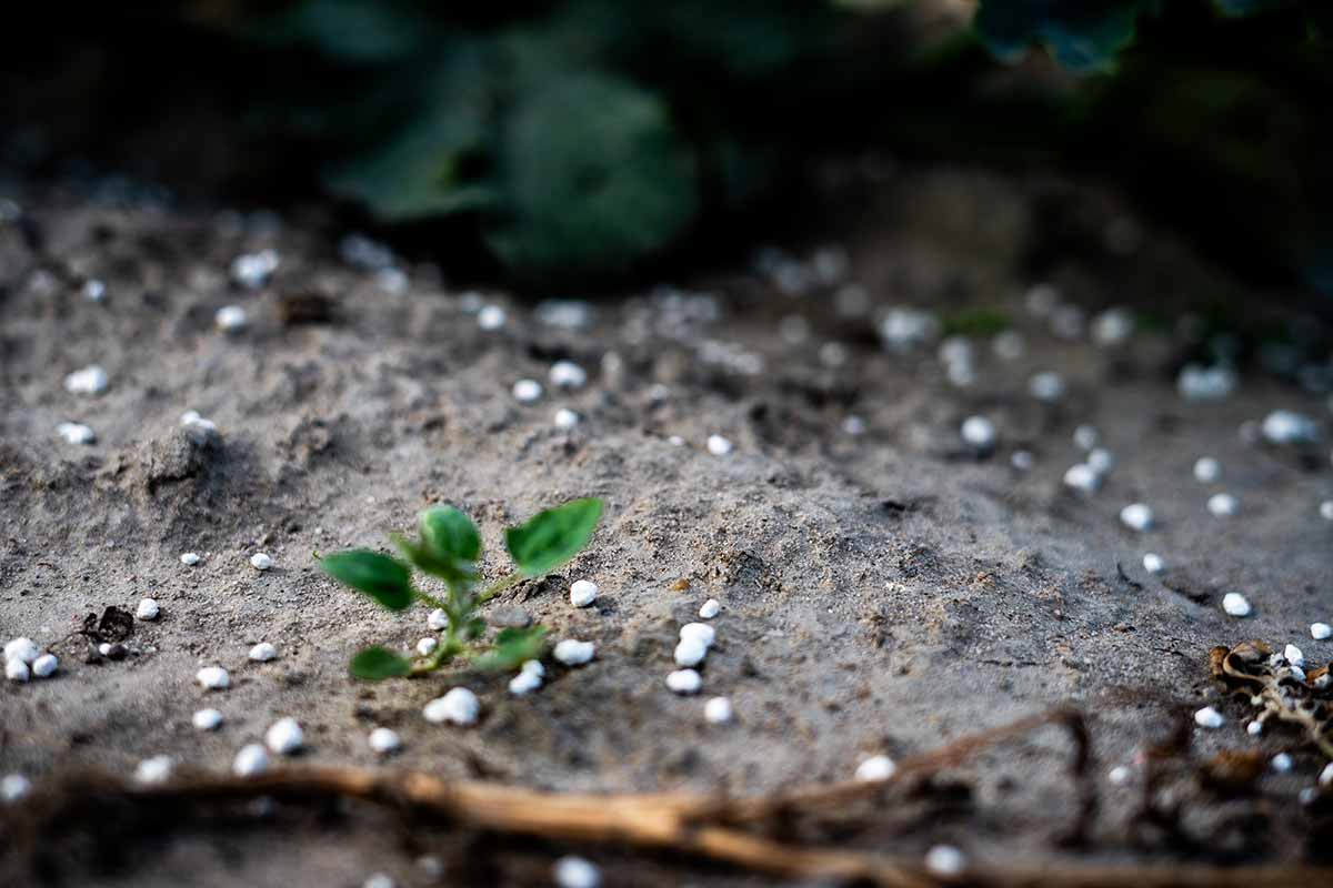 fertilizzanti microgranulari campo timacagroitalia