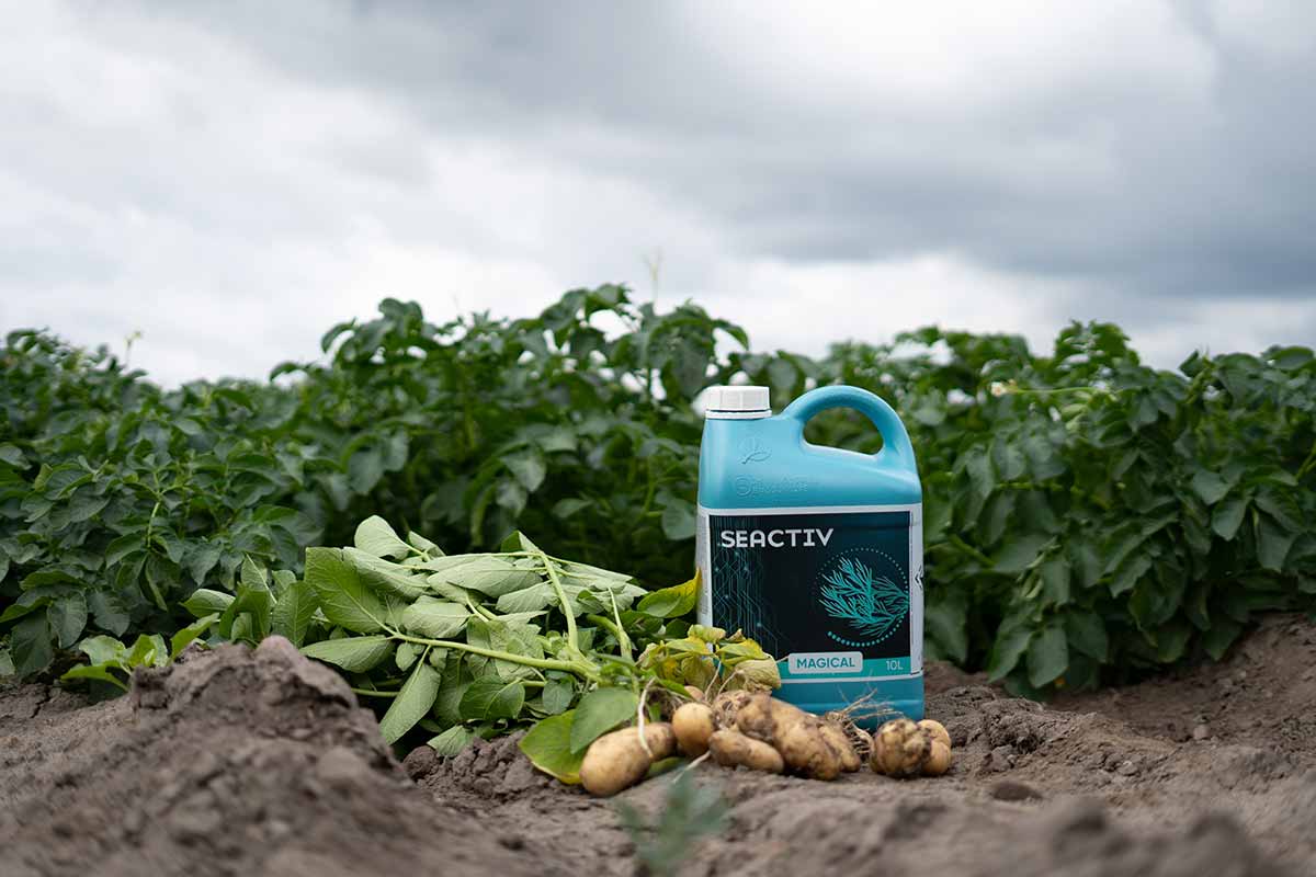 seactiv magical prodotti timacagroitalia
