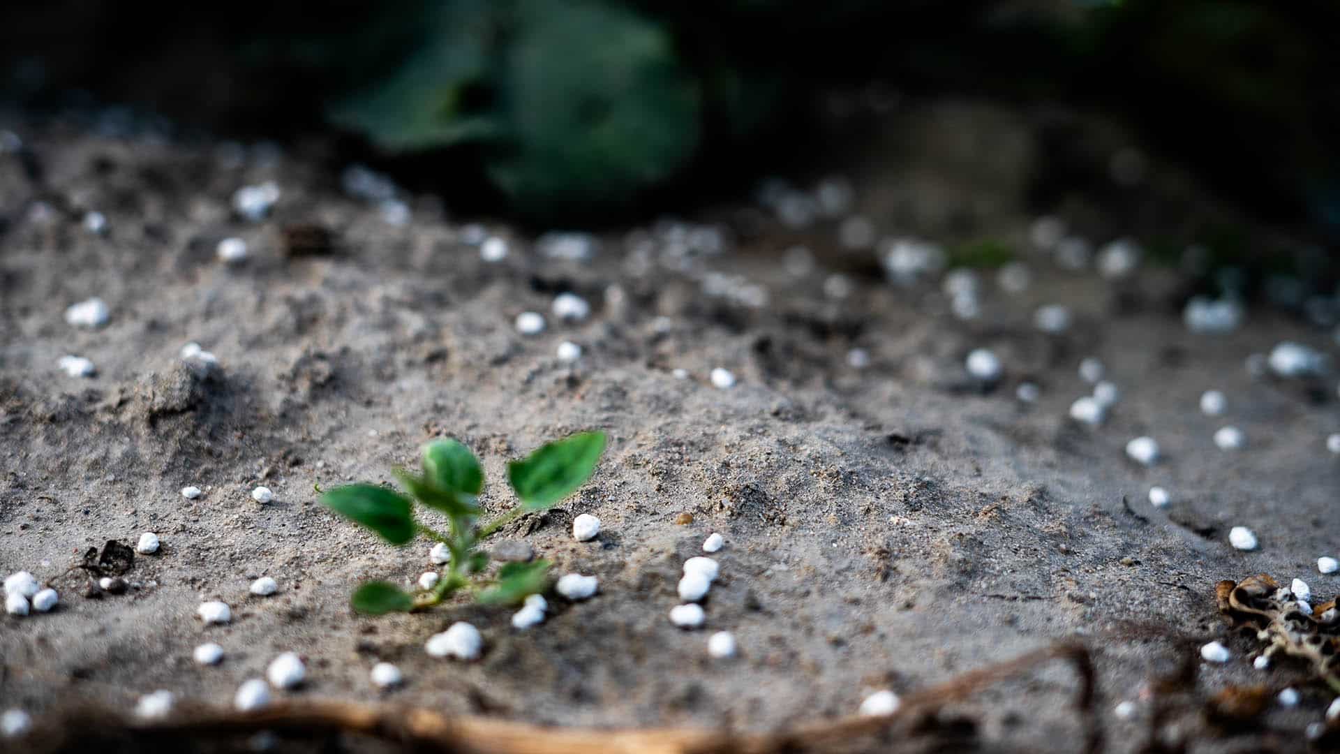 fertilizzante_granulare_al_suolo