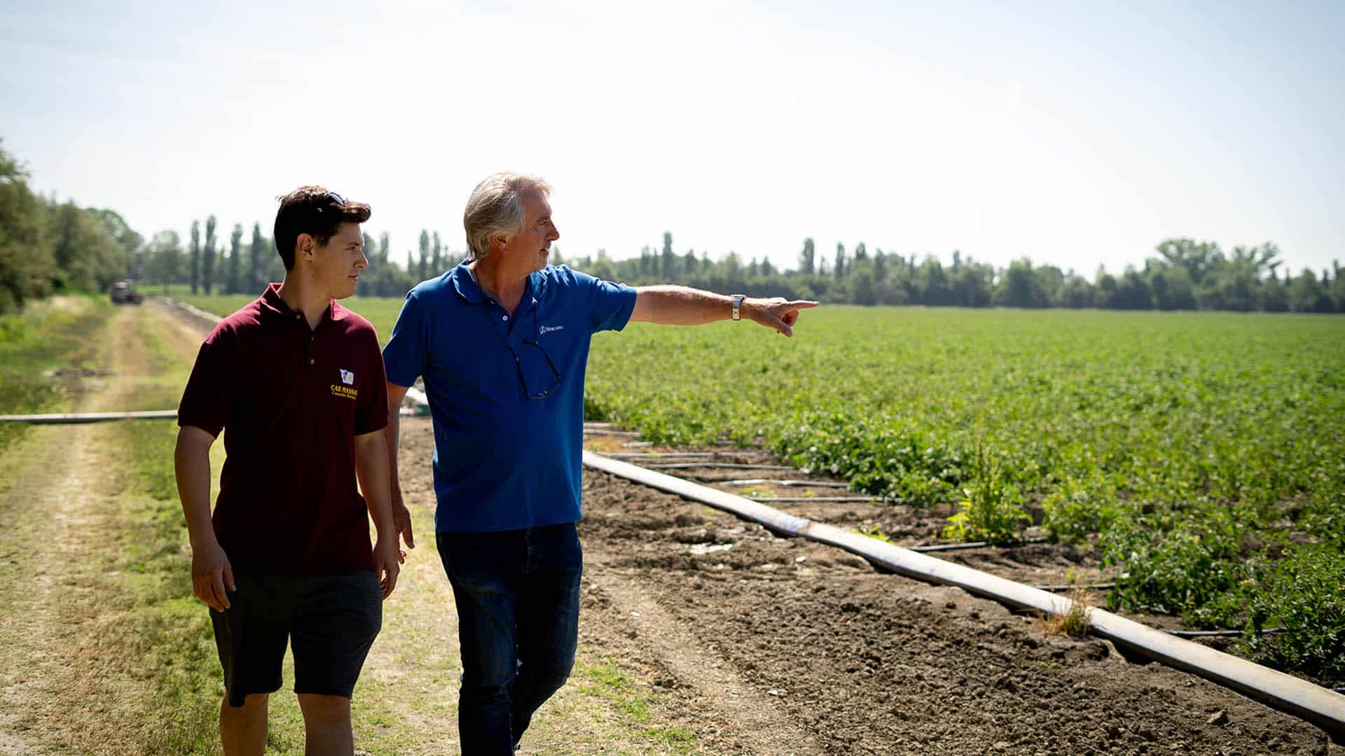 agronomo_in_campo_con_agricoltore_ispeziona_impianto_fertirrigazione