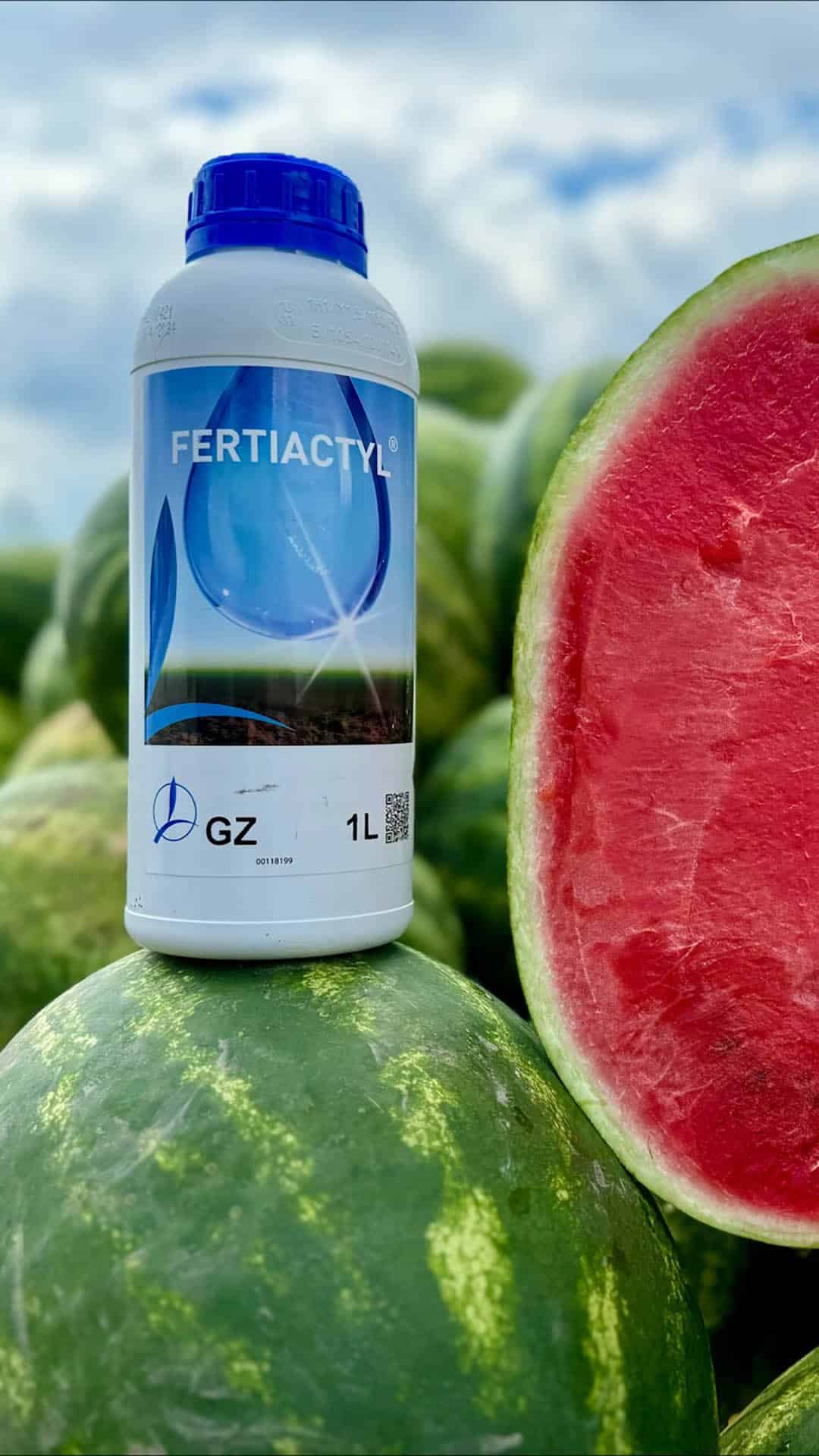 Concime_liquido_anguria_risultati