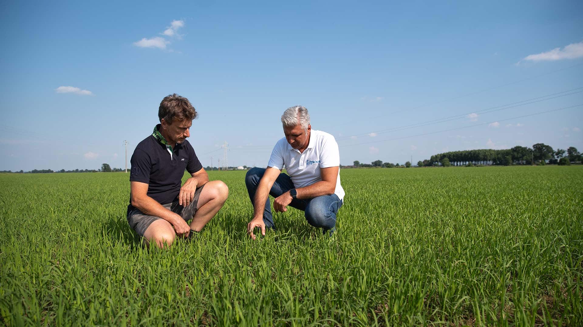 agronomo_TIMAC_AGRO_in_risaia_con_cliente