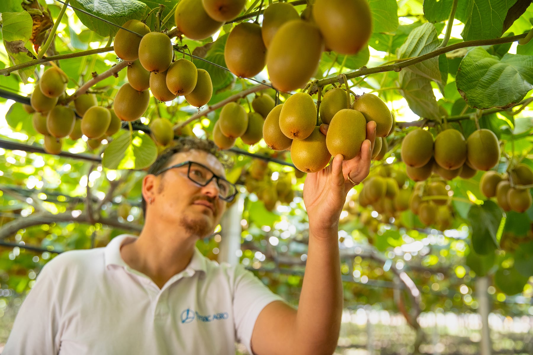 ATC-in-the-field-examining-fruit