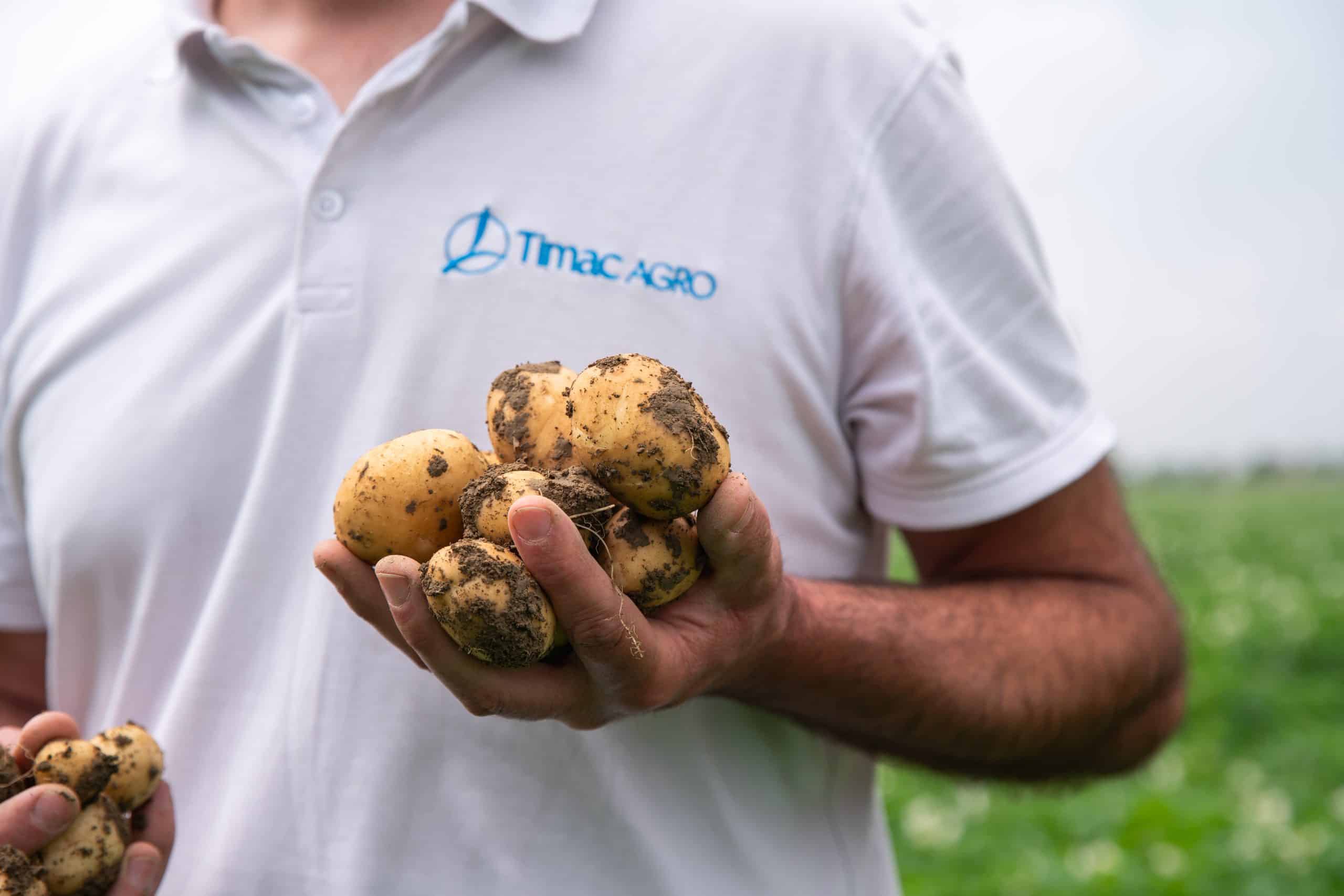 TIMAC_AGRO_ATC_holding_potatoes