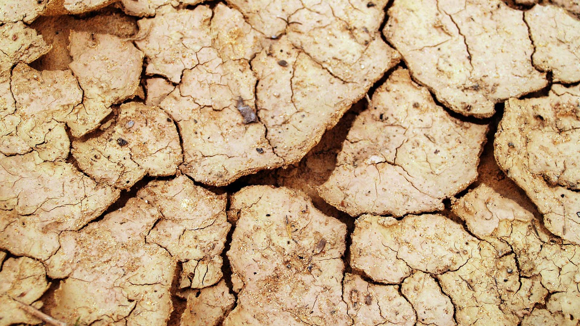 siccita terreno timacagroitalia