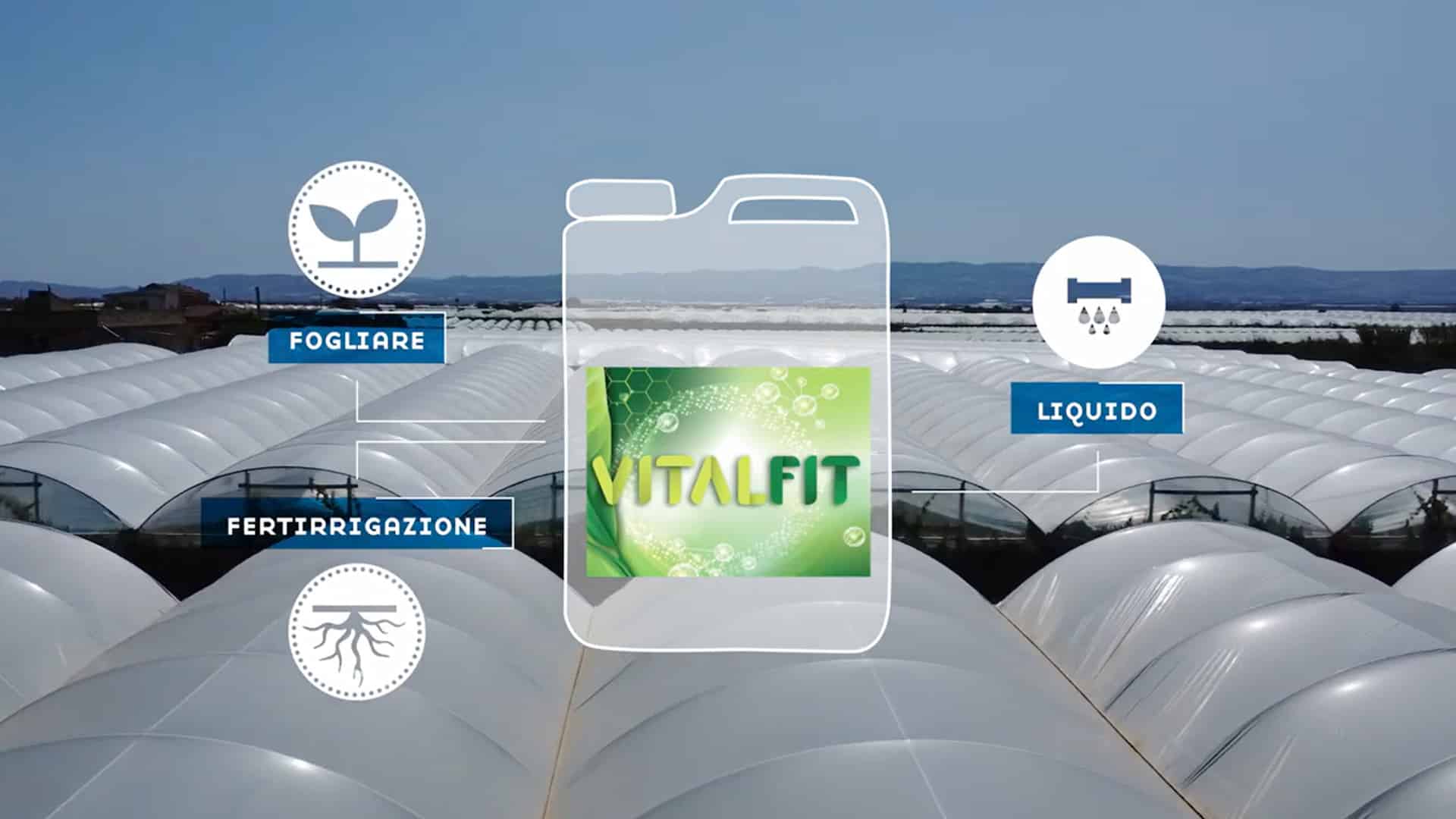 vitalfit